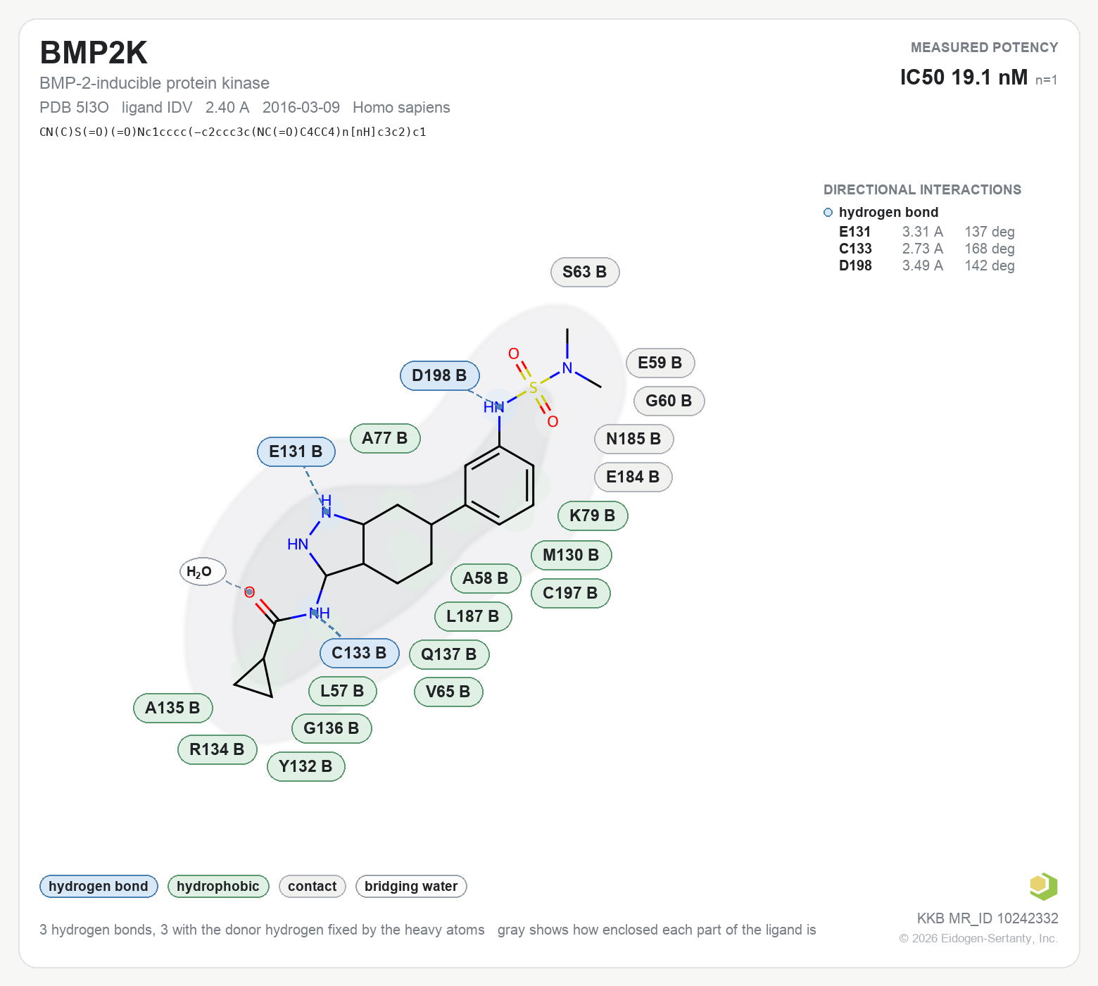 Contact map for BMP2K with ligand IDV from PDB entry 5I3O, IC50 19.1 nM in the Kinase Knowledgebase, showing the measured interactions on the flat structure