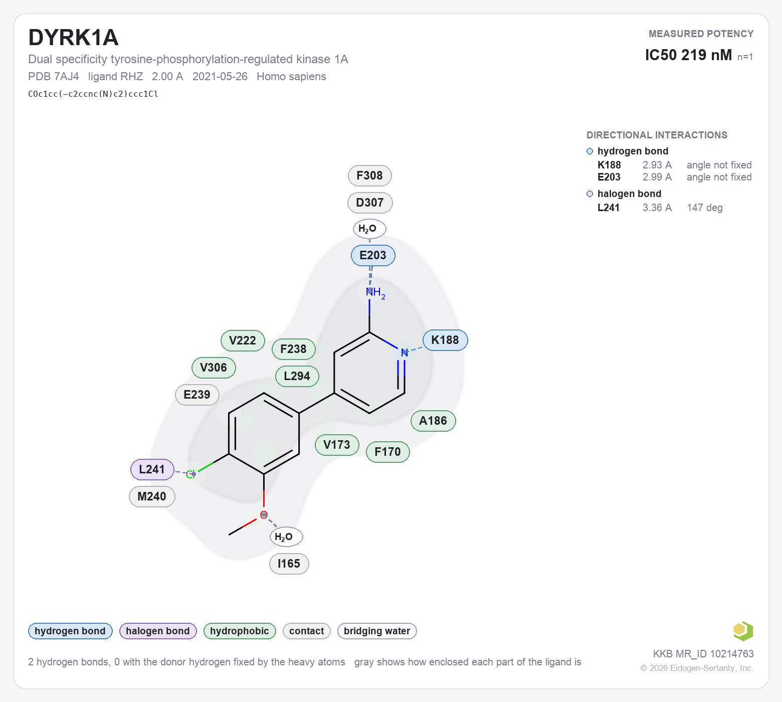 Contact map for DYRK1A with ligand RHZ from PDB entry 7AJ4, IC50 219 nM in the Kinase Knowledgebase, showing the measured interactions on the flat structure